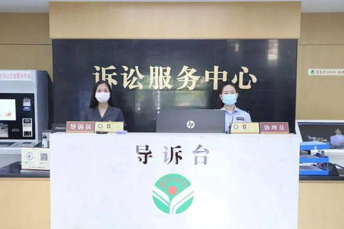 石狮法院打出“组合拳” 教育整顿办实事，抗击疫情与诉讼服务双管齐下