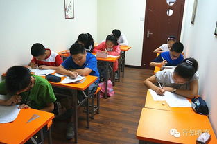 苏州行知教育咨询服务 构建良好关系，赋能教育未来